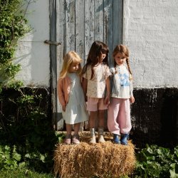 Wheat t-shirt SS Ally Bright Flowers