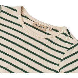 Wheat Body LS Berti Green Stripe