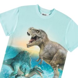 Molo T-shirt Roxo Dino Dino Splash