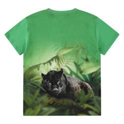 Molo T-shirt SS Riley Jaguars