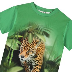 Molo T-shirt SS Riley Jaguars