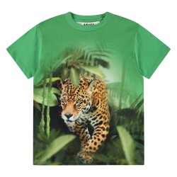 Molo T-shirt SS Riley Jaguars