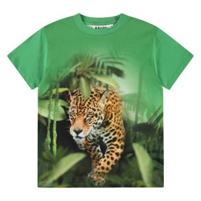 Molo T-shirt SS Riley Jaguars