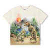 Molo T-shirt SS Riley Hot Spring Dinos