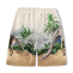 Molo Shorts Amil Hot Spring Dinos