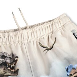 Molo Shorts Amil Hot Spring Dinos