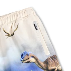 Molo Shorts Amil Hot Spring Dinos