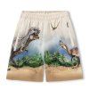 Molo Shorts Amil Hot Spring Dinos