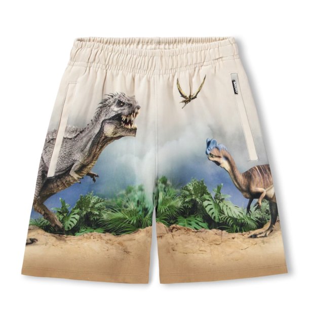 Molo Shorts Amil Hot Spring Dinos