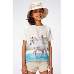 Molo T-shirt SS Raeesa Horse on Beach