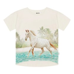 Molo T-shirt SS Raeesa Horse on Beach