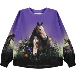 Molo Sweatshirt LS Kids Reniza Mystic Horses
