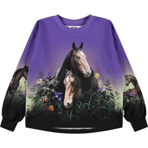Molo Sweatshirt LS Kids Reniza Mystic Horses