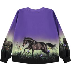 Molo Sweatshirt LS Kids Reniza Mystic Horses
