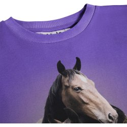 Molo Sweatshirt LS Kids Reniza Mystic Horses