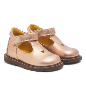 Angulus Tullesko hjerte 