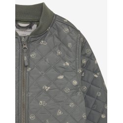 CeLaVi Termos�t Thermal AOP Mulled Basil