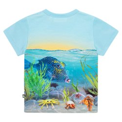 Molo T-shirt SS Easy Tropic Sea T