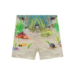 Molo Shorts Simroy Tropic Sea SH