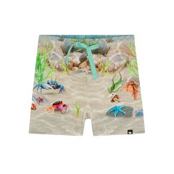 Molo Shorts Simroy Tropic Sea SH