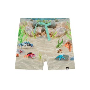 Molo Shorts Simroy Tropic Sea SH