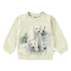 Molo Sweatshirt LS Disc Snowy Bear Cubs