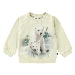 Molo Sweatshirt LS Disc Snowy Bear Cubs