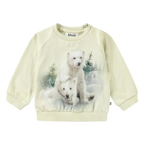 Molo Sweatshirt LS Disc Snowy Bear Cubs