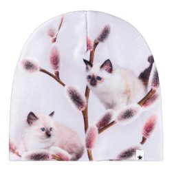 Molo Hue/vante s�t Kaya Willow Cat