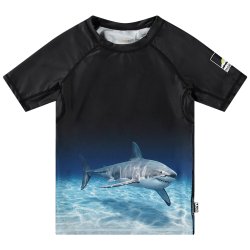 Molo UV Svmme T-shirt Neptune Faded Shark