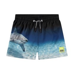 Molo Badebukser Niko Faded Shark