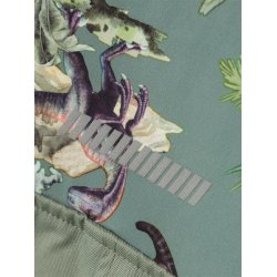 Name It Softshell Heldragt Alfa08 Dino Agave Green