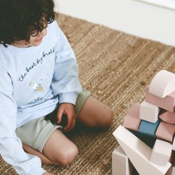 That's Mine Sweatshirt LS Finley Little Brother Light Blue Melange