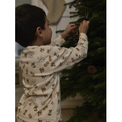Lil' Atelier Natt�j Mini Pyjamas LS Layo Git Turtledove