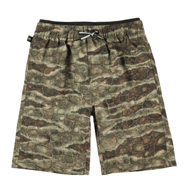 Molo Badeshorts Neal Dino Texture