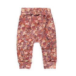 Molo Bukser San Bloom