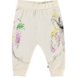 Molo Bukser Susanne Kitten