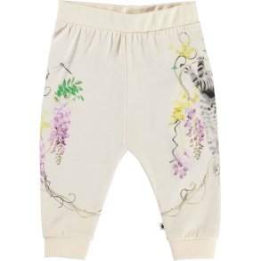 Molo Bukser Susanne Kitten