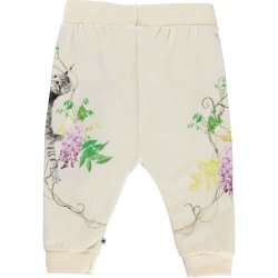 Molo Bukser Susanne Kitten