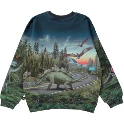 Molo Sweatshirt Miksi Co-Exist