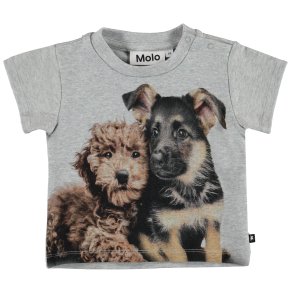 Molo T-shirt Emilio Pups Mates