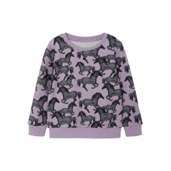 Name It Sweatshirt Sacha Orchid Petal