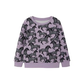Name It Sweatshirt Sacha Orchid Petal