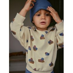 Lil' Atelier Sweatshirt LS Nolan Turtledove