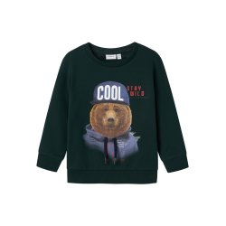 Name It Sweatshirt LS Labear Pine Grove
