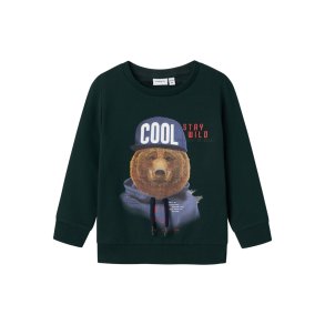 Name It Sweatshirt LS Labear Pine Grove