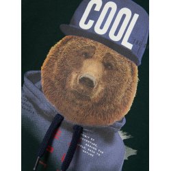 Name It Sweatshirt LS Labear Pine Grove