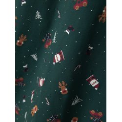 Name It Nattj Adult LS Vismas Botanical Garden