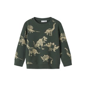 Name It Sweatshirt LS Mini Nilaus Garden Topiary
