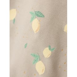 Name It Sweatshirt LS Dion Pure Cashmere